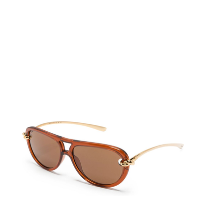Sunglasses Brown