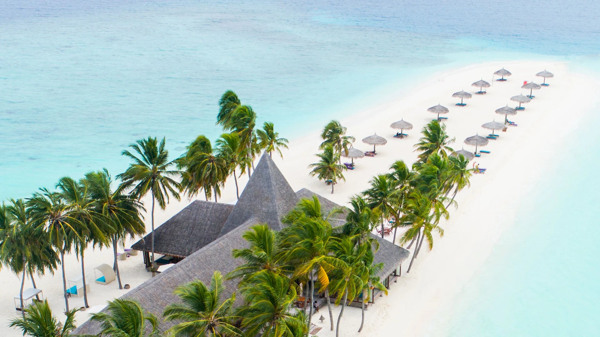 Palm-lined white sand and turquoise water along a Maldivian island shore